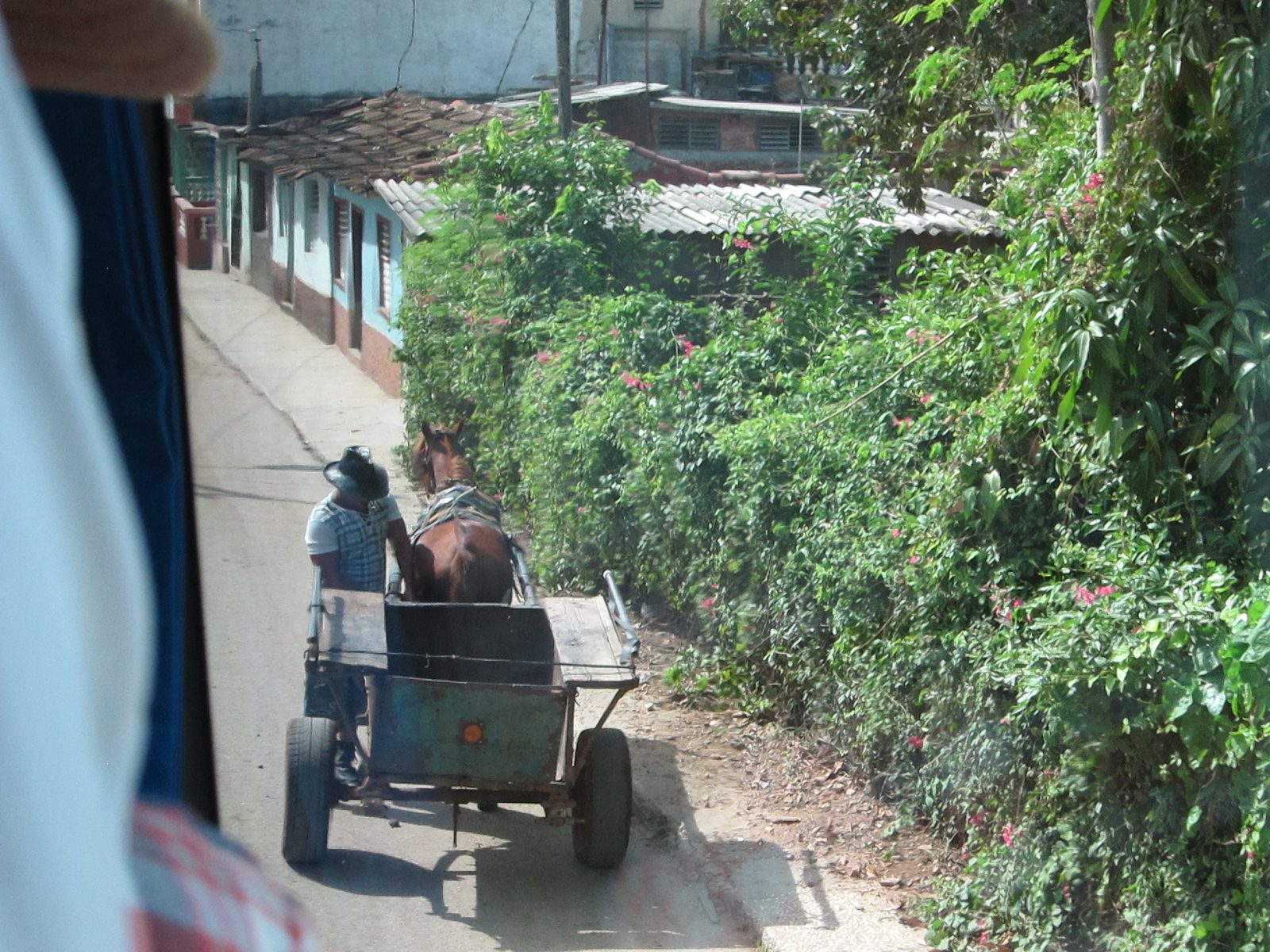 Sharing the road with the bus, the bikers, and the horse-drawn cart